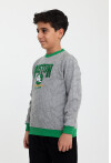 Polido kumaş Boston nakışlı Çocuk Sweatshirt