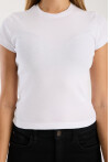 Kısa Kollu Bisiklet Yaka Slim Fit  Kadın T-Shirt